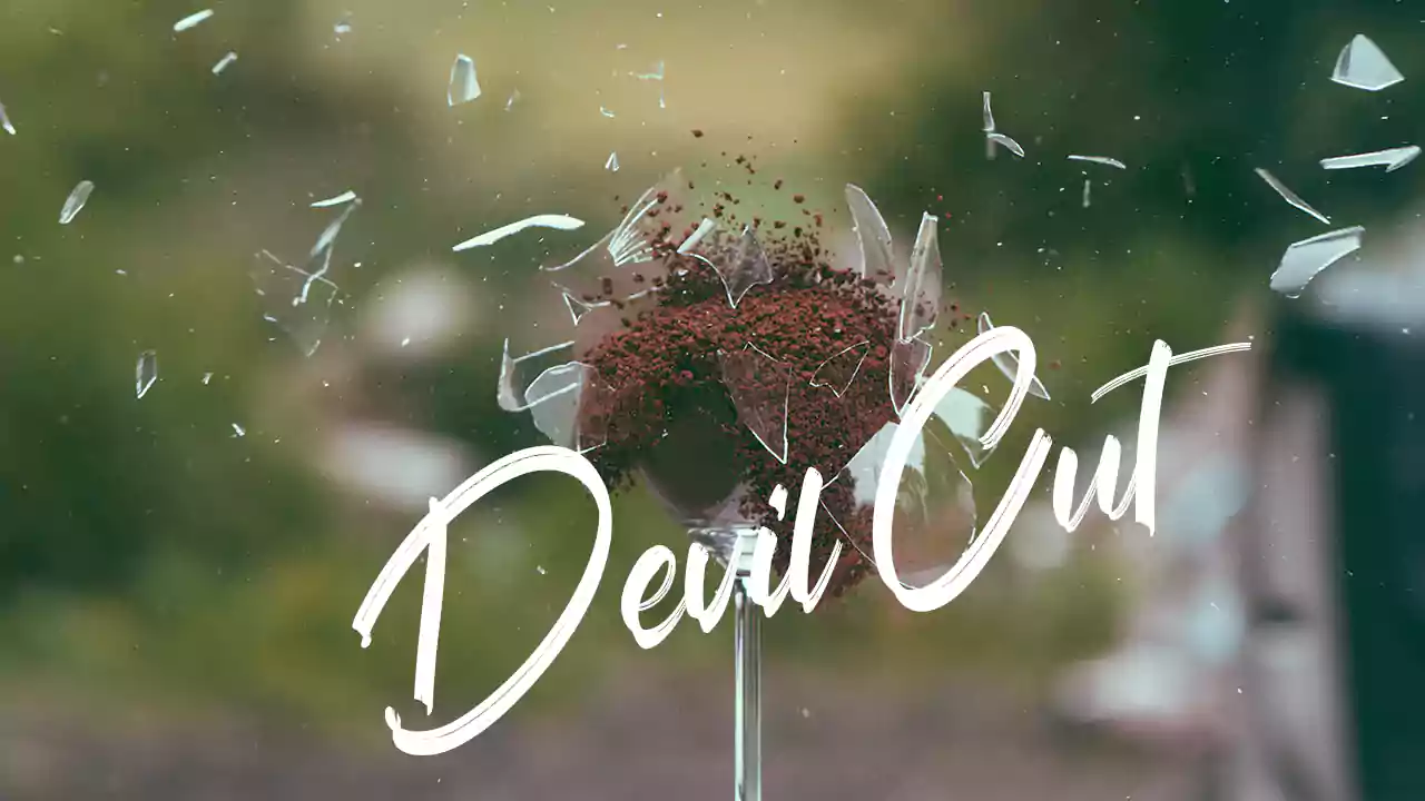 Devil Cut - No Copyright Audio Library