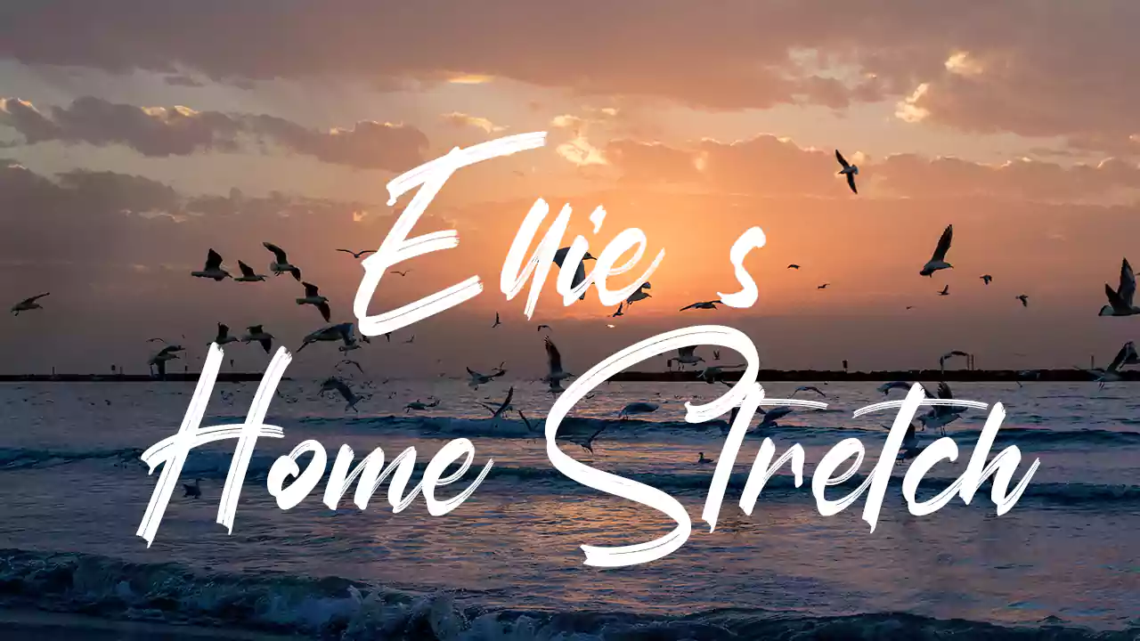 Ellie s Home Stretch - Stock Music & Sound Effects - Royalty Free Audio